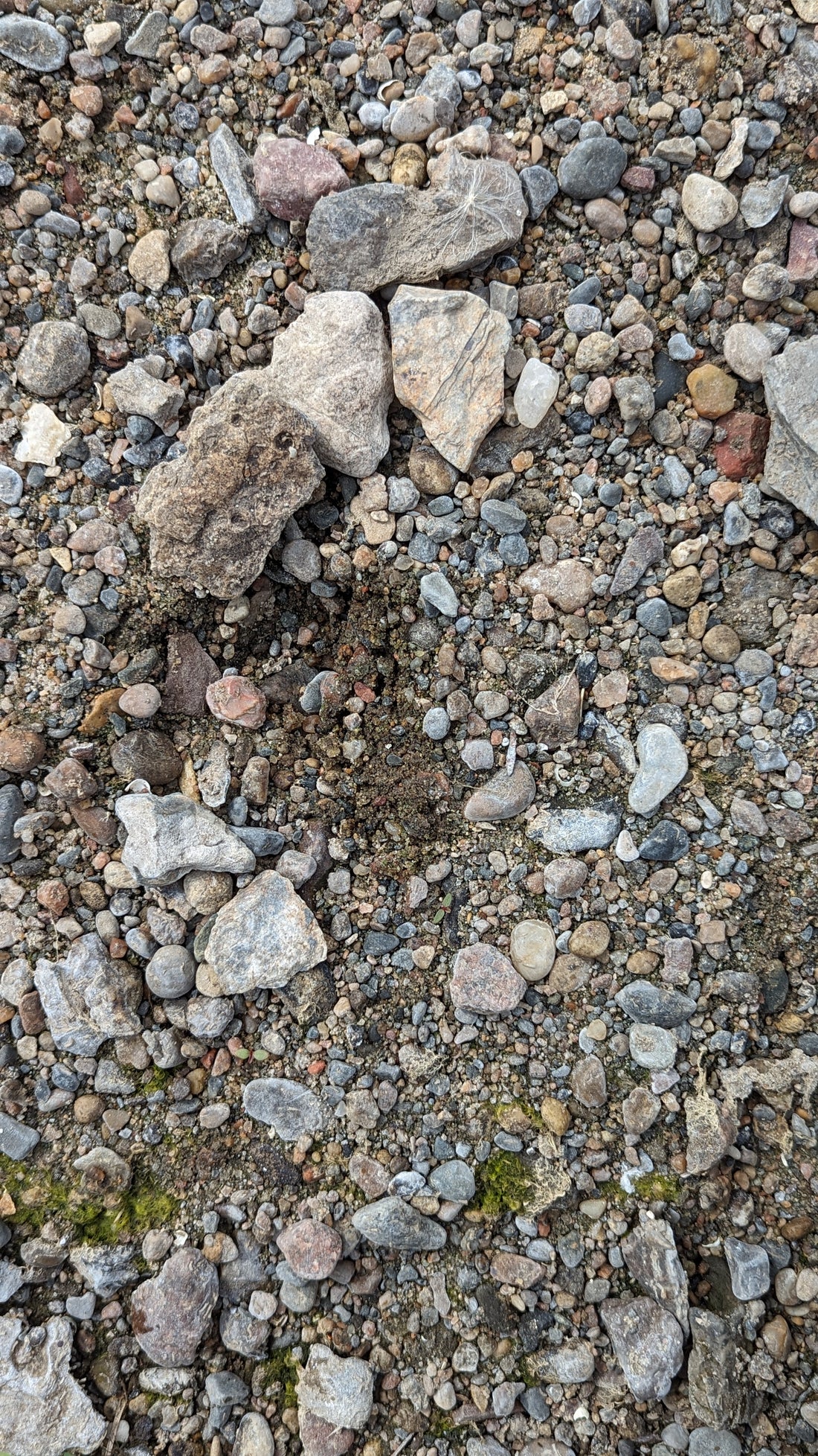 Our Process, Step 1: How I Find Our Rocks